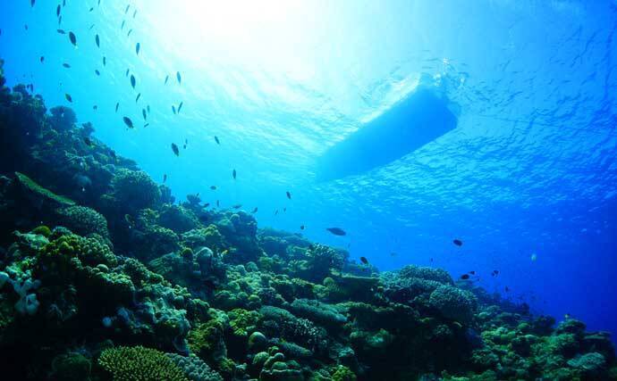 伊是名島で出会った正真正銘の「海人」の話　アオリイカともずくが繋いだ冬の記憶