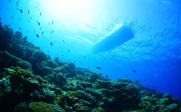 「伊是名島で出会った正真正銘の「海人」の話　アオリイカともずくが繋いだ冬の記憶」の画像
