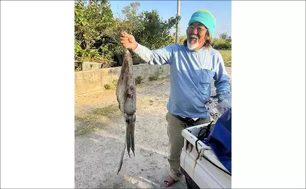 「伊是名島で出会った正真正銘の「海人」の話　アオリイカともずくが繋いだ冬の記憶」の画像