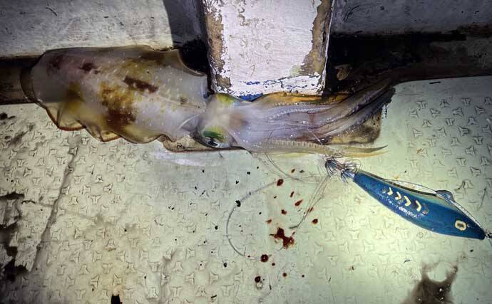 伊是名島で出会った正真正銘の「海人」の話　アオリイカともずくが繋いだ冬の記憶