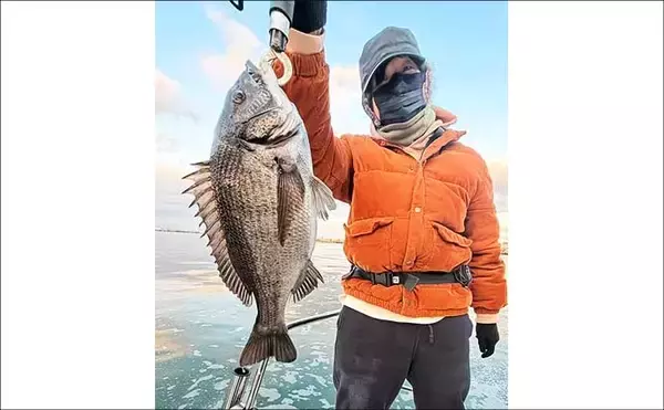 「【沖のルアー釣果速報】根魚ボート便でメバルラッシュ！最大24cm頭に連発（愛知）」の画像