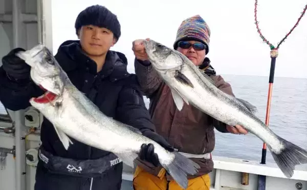 「【沖のルアー釣果速報】根魚ボート便でメバルラッシュ！最大24cm頭に連発（愛知）」の画像