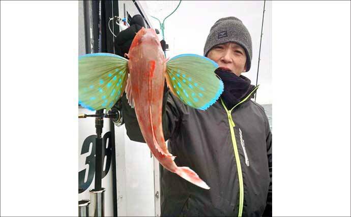 【沖のルアー釣果速報】根魚ボート便でメバルラッシュ！最大24cm頭に連発（愛知）