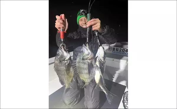 「【沖のルアー釣果速報】根魚ボート便でメバルラッシュ！最大24cm頭に連発（愛知）」の画像