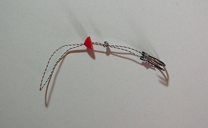 「メリットはたくさん・作るのはとても簡単！」 タイラバフック自作のススメ