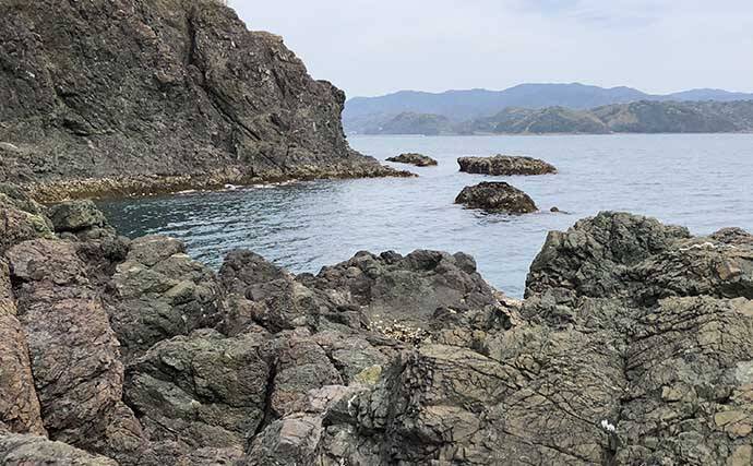 チヌの聖地で乗っ込み開始！刺しエサローテーション的中で本命連発【湯浅・和歌山】