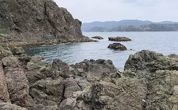 「チヌの聖地で乗っ込み開始！刺しエサローテーション的中で本命連発【湯浅・和歌山】」の画像