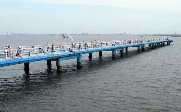 「人気施設『オリジナルメーカー海づり公園』ってどんなところ？【千葉】」の画像