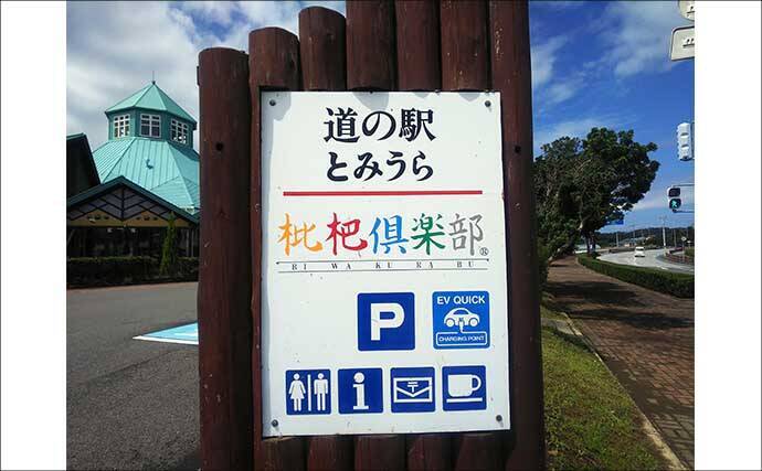 「車横付けが嬉しい！」ファミリーフィッシング好釣り場：館山港の砂揚げ場【千葉】