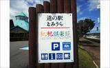 「「車横付けが嬉しい！」ファミリーフィッシング好釣り場：館山港の砂揚げ場【千葉】」の画像4
