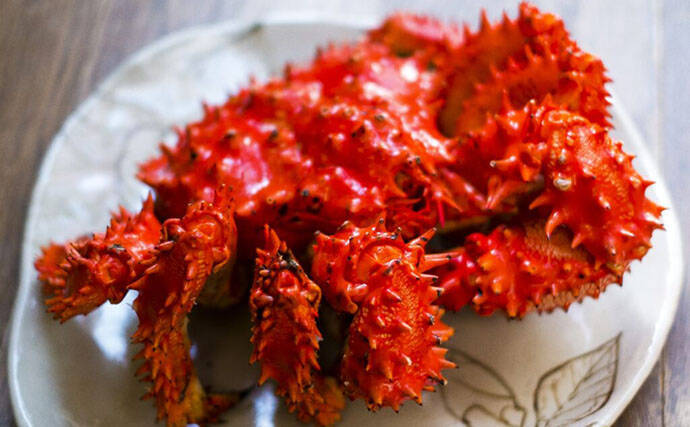 平安時代から続く日本のヤドカリ食文化　エビ・カニとは異なる食味で美味？