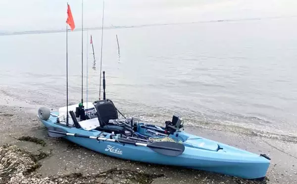 東京湾富津沖カヤックフィッシングでチヌにマゴチなど4魚種　鱒レンジャーが大活躍