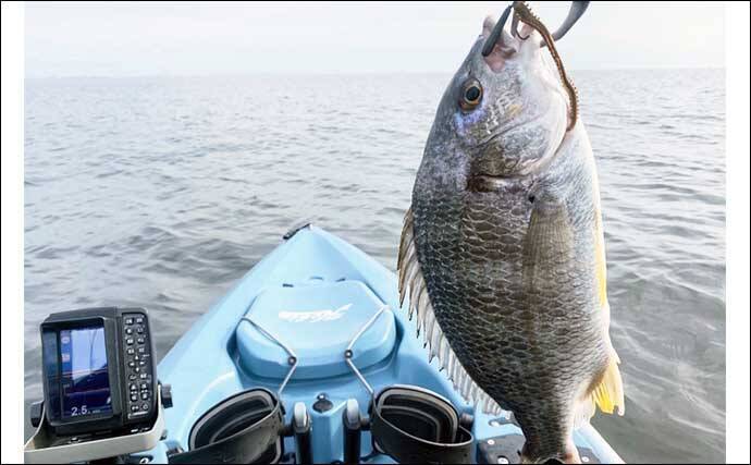 東京湾富津沖カヤックフィッシングでチヌにマゴチなど4魚種　鱒レンジャーが大活躍