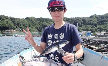 手こぎボートでのコマセ釣りでヒラソウダにゴマサバをキャッチ【沼津・丸高水産】