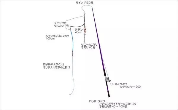 「手こぎボートでのコマセ釣りでヒラソウダにゴマサバをキャッチ【沼津・丸高水産】」の画像