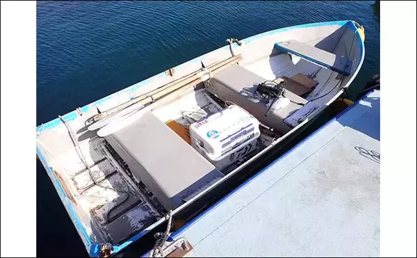 「手こぎボートでのコマセ釣りでヒラソウダにゴマサバをキャッチ【沼津・丸高水産】」の画像