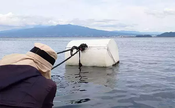 「手こぎボートでのコマセ釣りでヒラソウダにゴマサバをキャッチ【沼津・丸高水産】」の画像