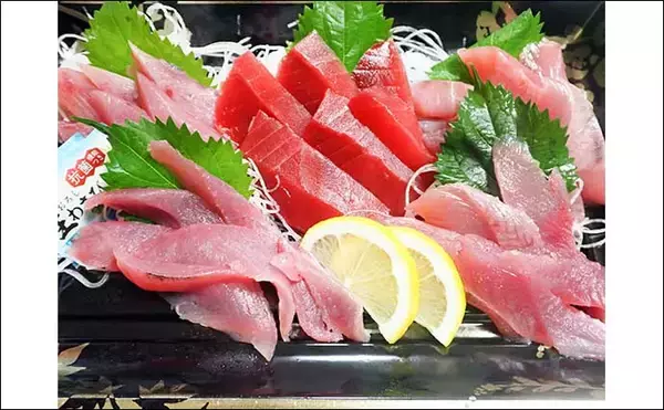 「手こぎボートでのコマセ釣りでヒラソウダにゴマサバをキャッチ【沼津・丸高水産】」の画像