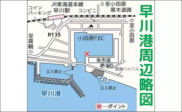 「早川港のサビキ釣りでトウゴロウイワシ爆釣！【神奈川】朝イチ1時間で62尾を手中」の画像