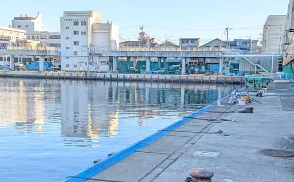 「早川港のサビキ釣りでトウゴロウイワシ爆釣！【神奈川】朝イチ1時間で62尾を手中」の画像