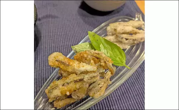 「早川港のサビキ釣りでトウゴロウイワシ爆釣！【神奈川】朝イチ1時間で62尾を手中」の画像