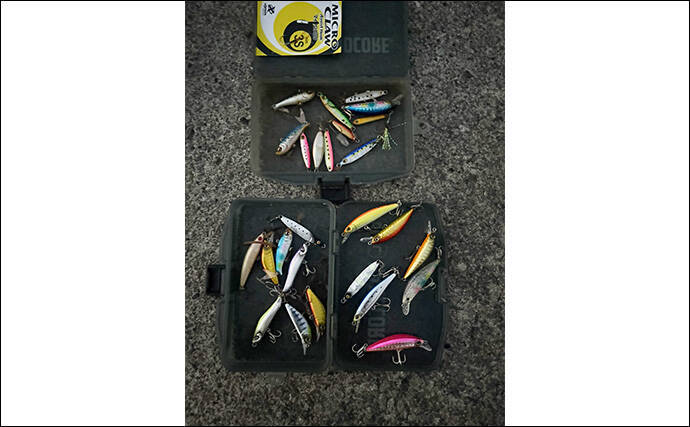 東伊豆のライトゲームでサバ50匹！【静岡】初心者でも即ヒット＆連発を満喫