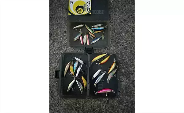 「東伊豆のライトゲームでサバ50匹！【静岡】初心者でも即ヒット＆連発を満喫」の画像