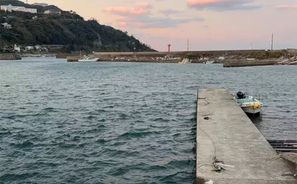 「東伊豆のライトゲームでサバ50匹！【静岡】初心者でも即ヒット＆連発を満喫」の画像