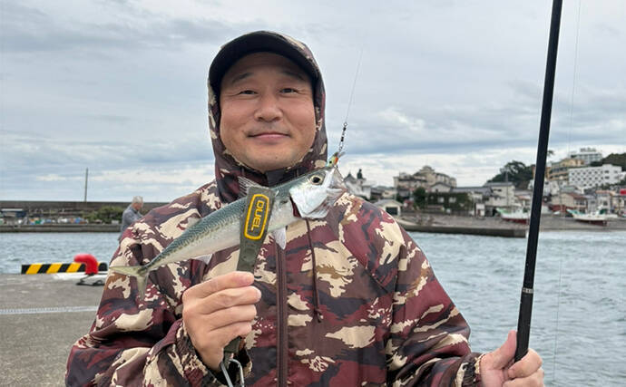東伊豆のライトゲームでサバ50匹！【静岡】初心者でも即ヒット＆連発を満喫