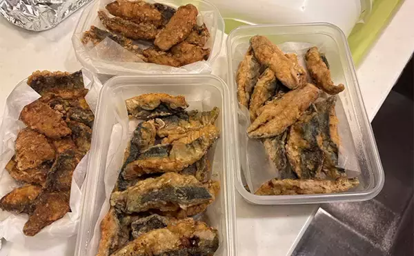 「東伊豆のライトゲームでサバ50匹！【静岡】初心者でも即ヒット＆連発を満喫」の画像