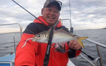 「何もしない」が正解！ 東京湾バチコンアジングでアジ115匹と入れ食い堪能【千葉・栄宝丸】