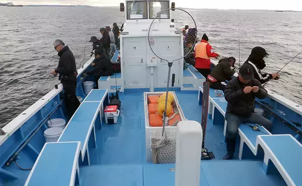 「「何もしない」が正解！ 東京湾バチコンアジングでアジ115匹と入れ食い堪能【千葉・栄宝丸】」の画像