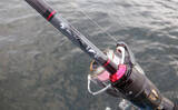 「「何もしない」が正解！ 東京湾バチコンアジングでアジ115匹と入れ食い堪能【千葉・栄宝丸】」の画像5