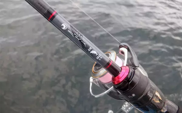 「「何もしない」が正解！ 東京湾バチコンアジングでアジ115匹と入れ食い堪能【千葉・栄宝丸】」の画像