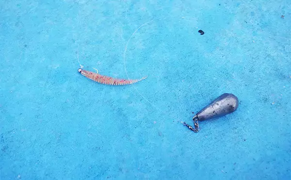 「「何もしない」が正解！ 東京湾バチコンアジングでアジ115匹と入れ食い堪能【千葉・栄宝丸】」の画像