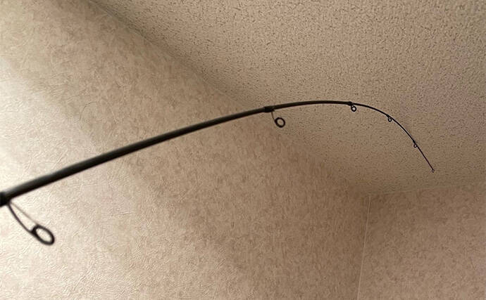 アジングは「ロッドで探知してリールで釣る」 タックルの役割を考えてみた