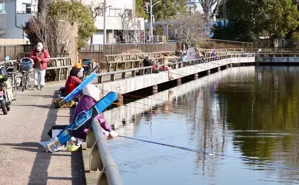 吉田康雄のザ・チャレンジへらぶな【手ごわい都心のオアシス#3】