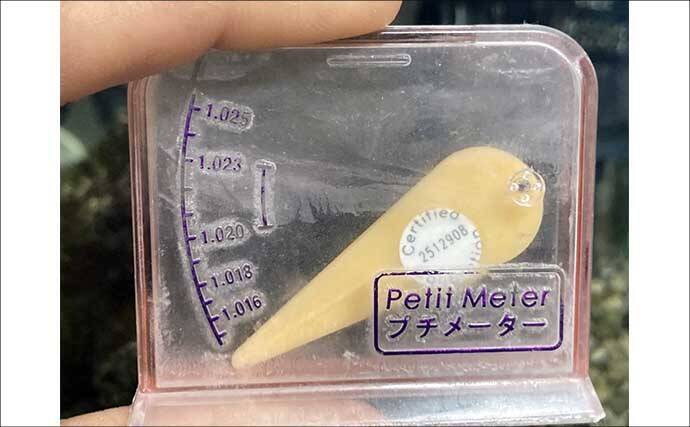 「魚も飼い主も落ち着くことが大事？」 魚を水槽に入れる前に準備すべきポイント7選