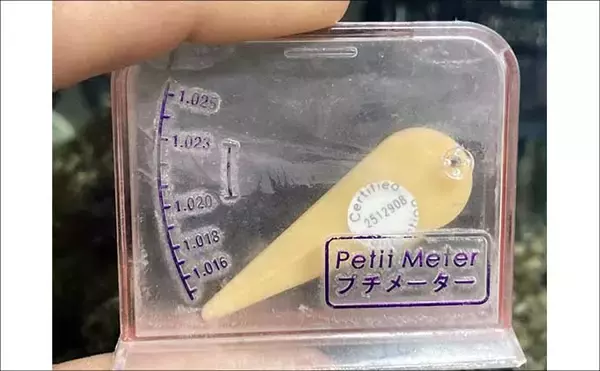 「「魚も飼い主も落ち着くことが大事？」 魚を水槽に入れる前に準備すべきポイント7選」の画像