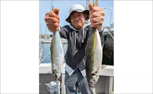 「大分沖でイシダイに関アジ関サバが好調顔出し！【船釣り最新情報4選・大分／熊本】」の画像