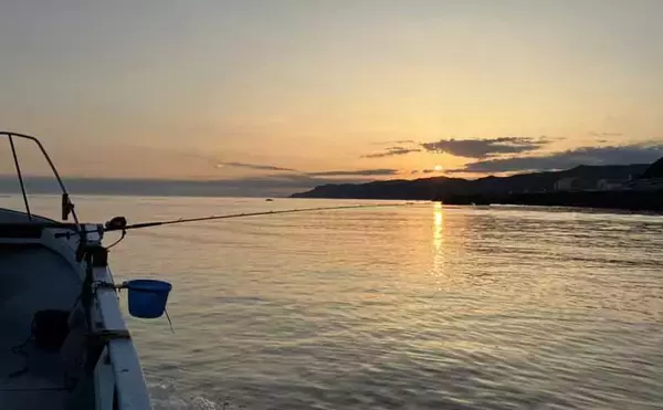 「初夏の新潟・上越沖コマセ釣りで本命の真鯛数釣りを達成！【子丸】」の画像