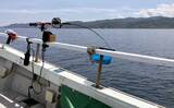 「初夏の新潟・上越沖コマセ釣りで本命の真鯛数釣りを達成！【子丸】」の画像3