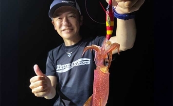イカメタルで良型狙い＆食い渋り攻略なら「オモリグ」で決まり　アタリの取り方のコツとは？