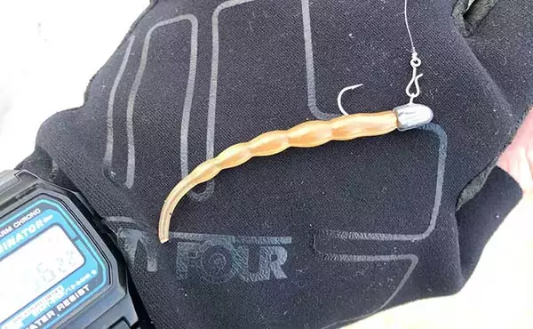 「アジング＆メバリングの今シーズン「爆アタリ」カラー3選【大阪湾奥・2022～23】」の画像