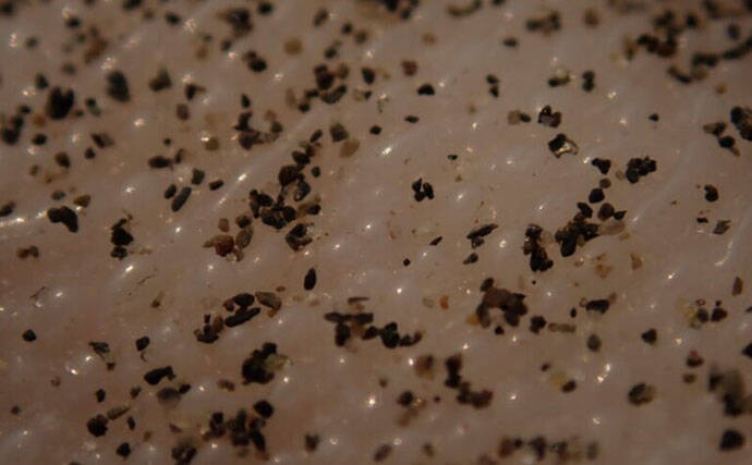 「接写に夢中！」海岸に落ちているものに限界まで近づいて撮影してみた