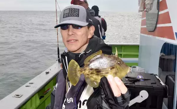 「伊良湖沖のカットウ釣りで良型ヒガンフグ＆カワハギ続々【愛知】船宿の身欠き処理で持ち帰りも安心」の画像