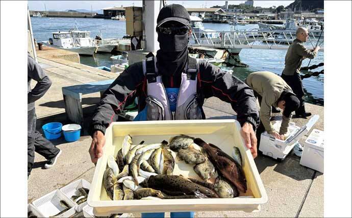 伊良湖沖のカットウ釣りで良型ヒガンフグ＆カワハギ続々【愛知】船宿の身欠き処理で持ち帰りも安心