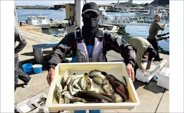「伊良湖沖のカットウ釣りで良型ヒガンフグ＆カワハギ続々【愛知】船宿の身欠き処理で持ち帰りも安心」の画像