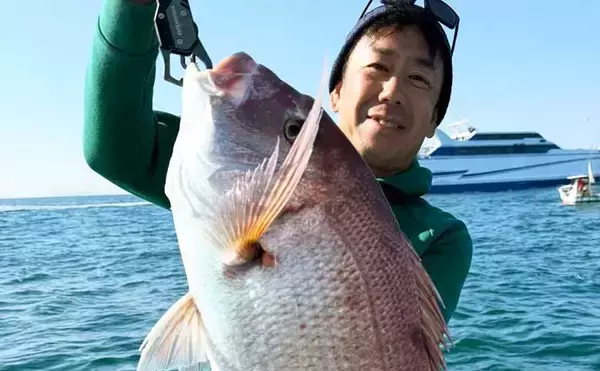 【沖釣り釣果速報】島原沖のタイラバでガツンとヒット！70cm超えマダイ浮上（大分・熊本）
