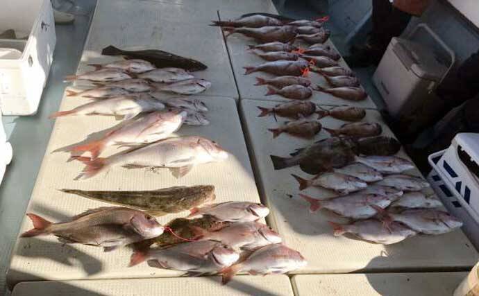 【沖釣り釣果速報】島原沖のタイラバでガツンとヒット！70cm超えマダイ浮上（大分・熊本）